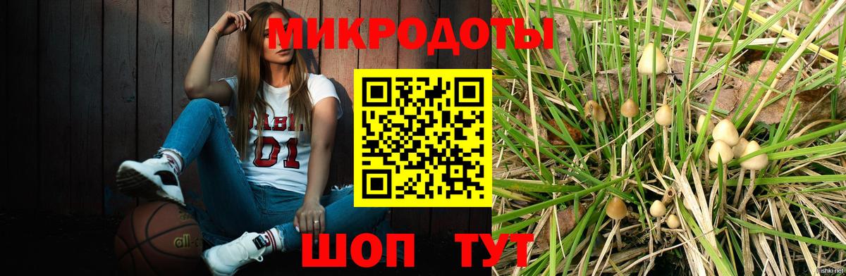 Галлюциногенные грибы Psilocybine cubensis Самара